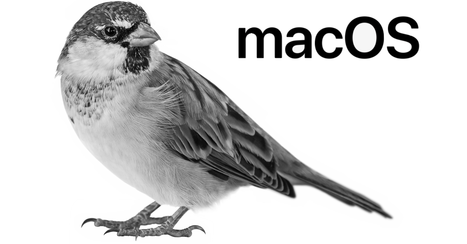 Silver Sparrow Malware